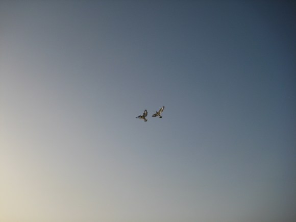 Life lessons from improv