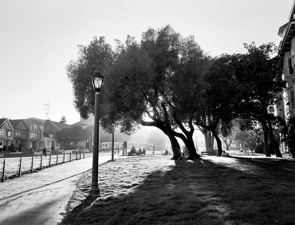 Photo credit:  cbowns